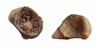 Археологи обнаружили на Храмовой горе в Иерусалиме 2000-летний глиняный жетон, которым пользовались паломники