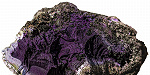 Уникальный императорский тирский пурпур найден в древнеримской бане британского Карлайла