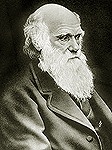 В Ватикане проходит конференция, посвященная 150-летию выхода книги Чарльза Дарвина «Происхождение видов»