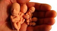 Ватикан проводит исследование психологических последствий абортов