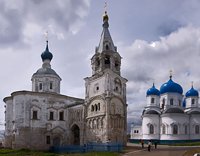 В Москве прошла пресс-конференция, посвященная ситуации вокруг приюта в Боголюбово