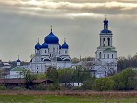Факты жестокого обращения с детьми в Боголюбском монастыре не выявлены, сообщил губернатор Владимирской области