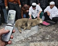 Болгарское правительство утвердило список религиозных праздников различных вероисповеданий, которые будут выходными днями