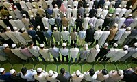 Мусульмане Испании объединяются