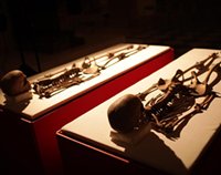 Научное исследование подтвердило подлинность мощей свв. мучеников Хрисанфа и Дарии