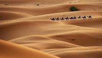 В Индии исламский университет издал фетву, которая запрещает женщинам уезжать дальше чем на 48 миль от дома без сопровождения мужчины