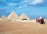 Египетский шейх издал фетву о запрете мусульманам голосовать за христианских кандидатов на выборах
