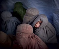 Ежегодно около 700 девушек из христианских общин Пакистана вынуждают принимать ислам