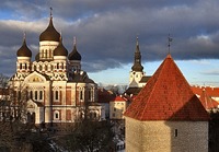 Синод Константинопольского Патриархата канонизировал 11 новомучеников Эстонских, пострадавших в 1940-1941 гг.