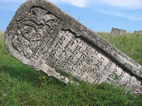 На Центральном кладбище Вены осквернены 43 еврейские могилы
