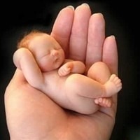 Британская католическая организация потеряет статус благотворительной, если откажется помогать содомитам усыновлять детей
