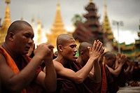 Более 50 случаев насилия в отношении христиан со стороны буддистов зафиксировано в этом году на Шри-Ланке