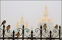 Состоялось заседание Священного Синода Украинской Православной Церкви