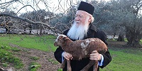 На острове Имброс будет вновь открыта греческая школа