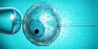 Палестинские богословы узаконили искусственное оплодотворение жен заключенных