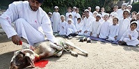 В Польше ритуальные жертвоприношения животных будут регулироваться законом