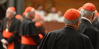 Совет кардиналов соберется снова уже в начале декабря