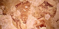 Самый древний наскальный рисунок найден в пещере в Индонезии