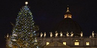 На площади св. Петра установили Рождественскую ель