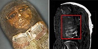 Две древнеегипетские мумии из Ватиканских Музеев оказались подделками