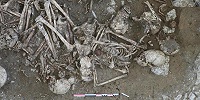 Во Франции найдена братская могила эпохи позднего неолита