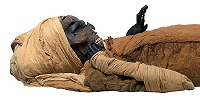 Компьютерная томография мумии фараона Секененры показала, что он был казнен гиксосами