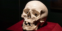Мраморный череп из Дрезденского собрания признан потерянным шедевром Бернини