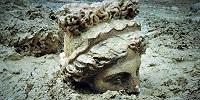 В Турции археологи обнаружили фрагменты статуй Афродиты и Диониса
