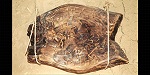 Найденная в Греции деревянная табличка может быть самым ранним известным письменным текстом
