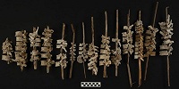 В Перу археологи обнаружили человеческие позвонки, нанизанные на тростниковые палочки