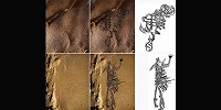 В США в пещере найдены наскальные рисунки возрастом более 1000 лет