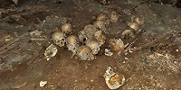 В мексиканской пещере найдены человеческие черепа, надетые на деревянные колья