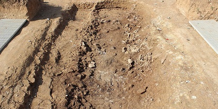 В неолитическом могильнике на севере Франции найдены захоронения 13 мужчин и одной женщины