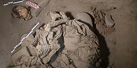 Археологи нашли на окраине столицы Перу Лимы 1000-летнюю мумию подростка, завернутую в ткань
