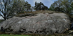 В Швеции на покрытых мхом скалах найдены петроглифы возрастом 2700 лет