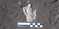 Две статуэтки Деметры обнаружены в Айгае, «городе коз» эолийцев, на западе современной Турции