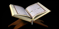 Парламент Дании запретил осквернение религиозных текстов после серии сожжений Корана в скандинавских странах