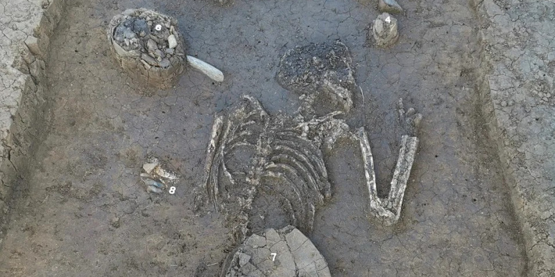 В Баварии обнаружено 6800-летнее захоронение неолитического вождя