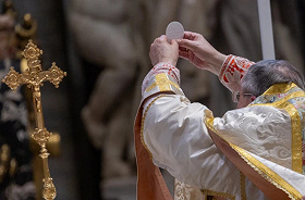 Кардинал Бёрк с разрешения Папы Льва XIV отслужил традиционную латинскую Мессу в соборе Святого Петра