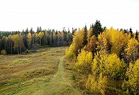 Почитание Куртяевской иконы святого Алексия, человека Божия (комментарий в зеркале СМИ)