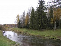 К 470-летию блаженной кончины прп. Корнилия Комельского (комментарий в интересах нации)