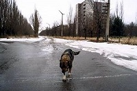 Чернобыльские рассказки (очерк)